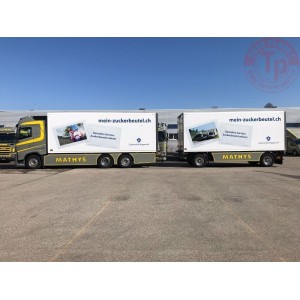 Volvo FH04 Globetrotter rigid truck with trailer - Mathys TEKNO 73916 TEKNO