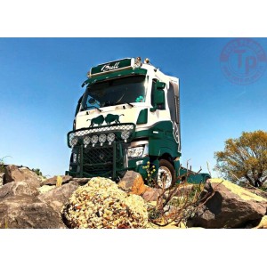 RENAULT TRUCKS T HIGH 4X2 - Ardie Bull WSI 01-3412 WSI MODELS