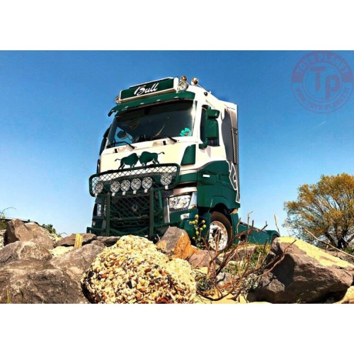 RENAULT TRUCKS T HIGH 4X2 - Ardie Bull WSI 01-3412 WSI MODELS