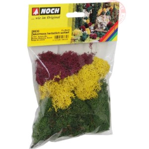 LICHENE COLORI AUTUNNALI NOCH 08630 NOCH