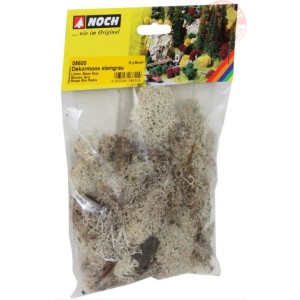 Lichene grigio NOCH 08600 NOCH