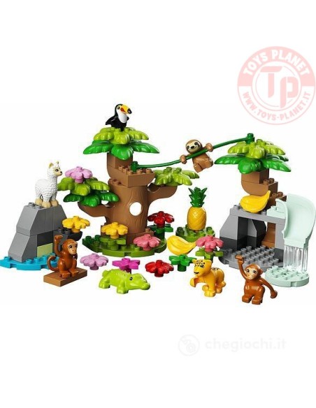 Animali del Sud America LEGO DUPLO 10973 LEGO Animali del Sud America LEGO DUPLO 10973 LEGO