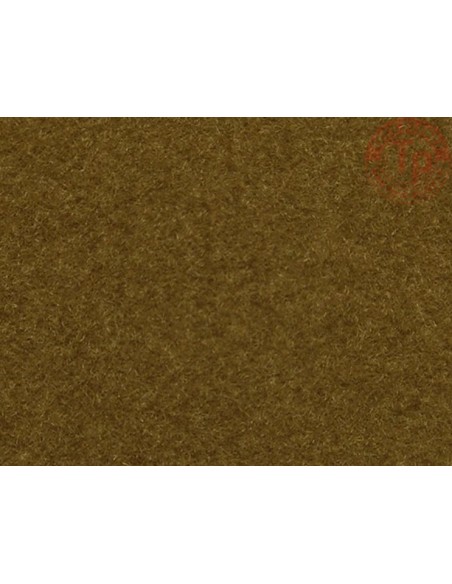 ERBA MARRONE NOCH 08323 NOCH ERBA MARRONE NOCH 08323 NOCH
