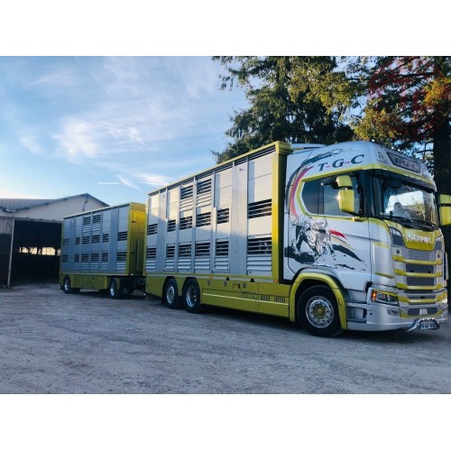 Scania STG livestock trailer TGC IMC 32-0165 IMC MODELS