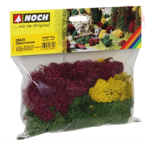 LICHENE MISTO AUTUNNO NOCH 08620 NOCH