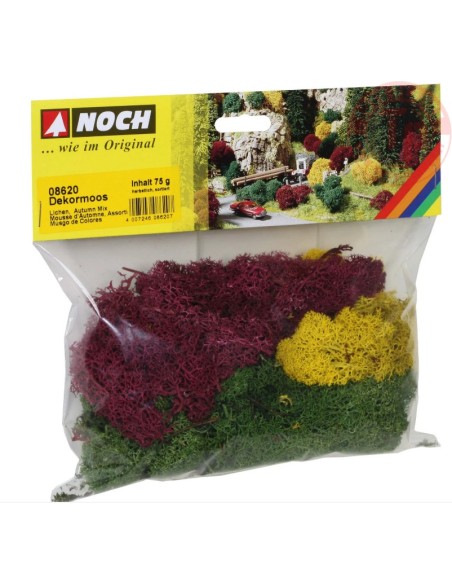 LICHENE MISTO AUTUNNO NOCH 08620 NOCH