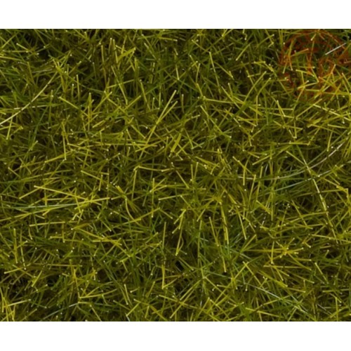 Festuca Arundinacea Semi Di Fiori Selvatici Per Prato - 500-1000 Semi, Miscela Profumata Per Api, Senza Erba Sementi Per Prato - Foto 13