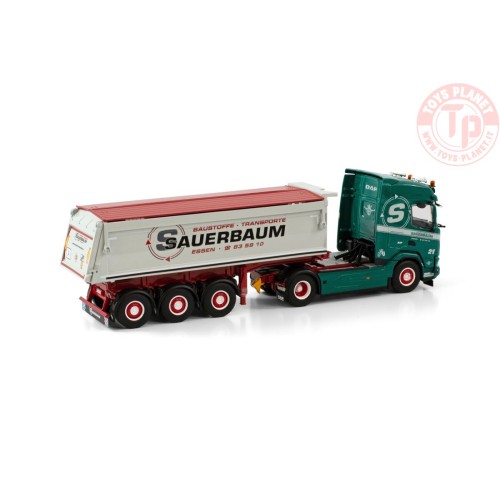 DAF XF 4X2 TIPPER TRAILER - 3 AXLE SAUERBAUM WSI 01-3933 WSI MODELS