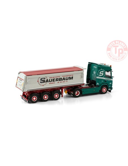 DAF XF 4X2 TIPPER TRAILER - 3 AXLE SAUERBAUM WSI 01-3933 WSI MODELS