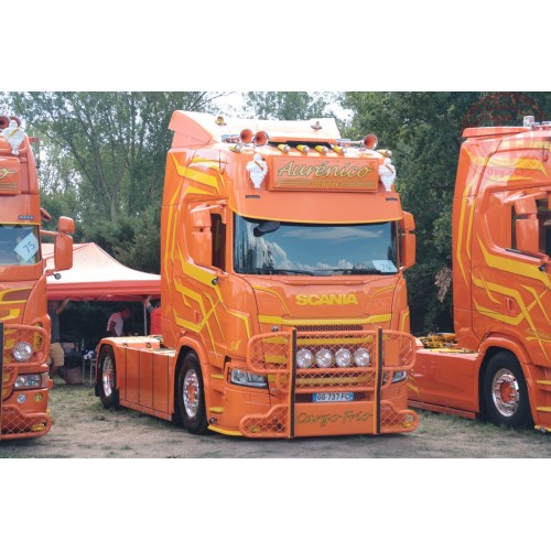 SCANIA R HIGHLINE CR20H 4X2 Aurénico WSI 01-4012 WSI MODELS