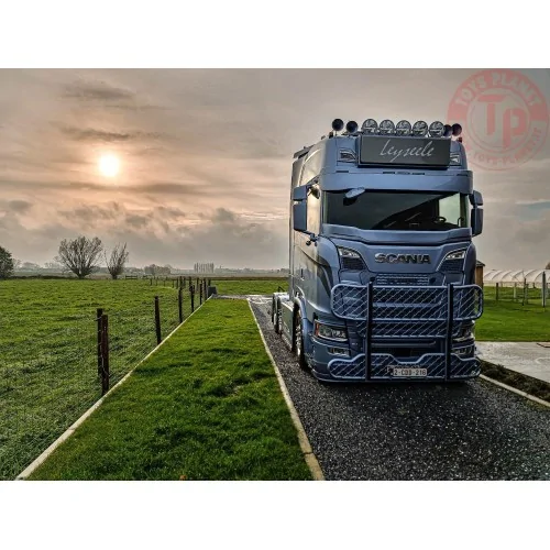 Scania Next Gen S730 Highline met 45ft. container Leyseele TEKNO 84602 TEKNO