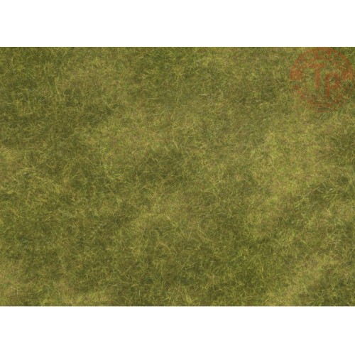 PRATO NATURALE-2 PEZZI 25x25 CM NOCH 07472 MATERIALE DIORAMI