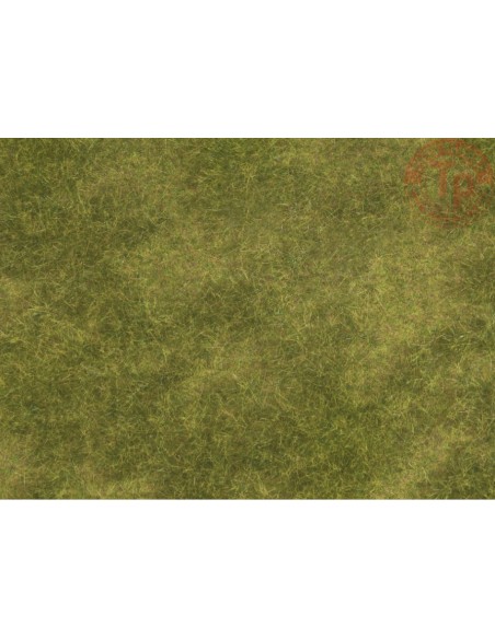 PRATO NATURALE-2 PEZZI 25x25 CM NOCH 07472 MATERIALE DIORAMI