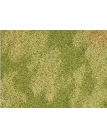 PRATO NATURALE-2 PEZZI 25x25 CM NOCH 07472 MATERIALE DIORAMI PRATO NATURALE-2 PEZZI 25x25 CM NOCH 07472 MATERIALE DIORAMI