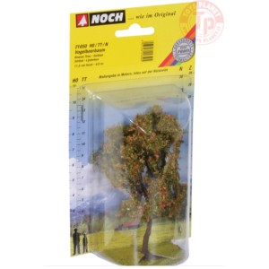ALBERO DI SORBO CON BACCHE-11,5 CM NOCH 21650 MATERIALE DIORAMI