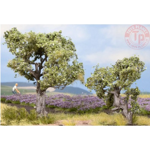 ALBERO DI OLIVO-2 PEZZI 6 CM-9 CM NOCH 21995 MATERIALE DIORAMI