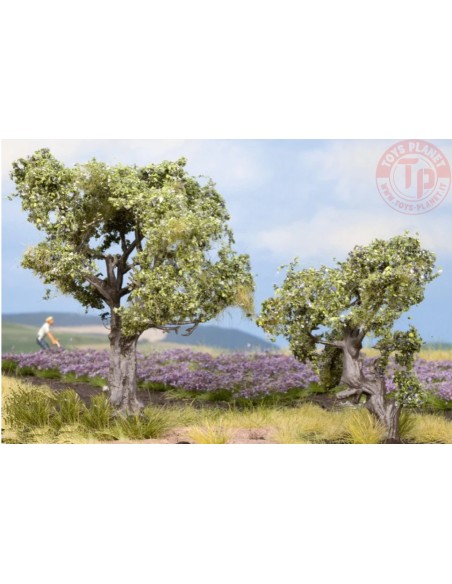 ALBERO DI OLIVO-2 PEZZI 6 CM-9 CM NOCH 21995 MATERIALE DIORAMI