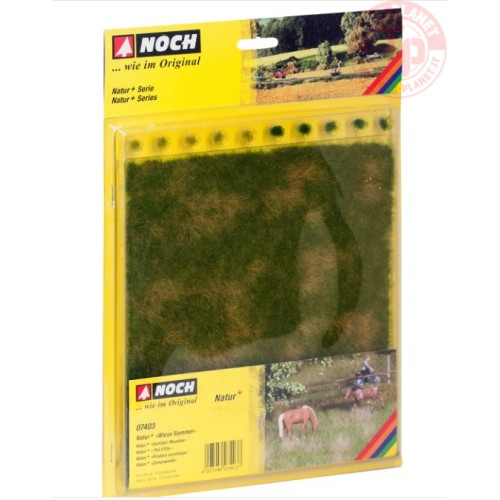 PRATO ESTIVO-22X20 CM + 10 CIUFFI D'ERBA NOCH 07403 MATERIALE DIORAMI
