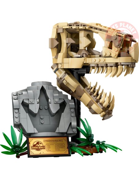 Fossili di dinosauro: Teschio di T.rex LEGO JURASSIC WORLD 76964 LEGO