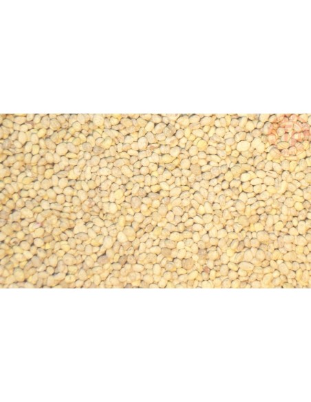 PATATE 150G 1:32/1:35 JUWEELA 23105 JUWEELA