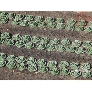 Lattuga 120 pezzi 1:45/1:50 JUWEELA 24237 JUWEELA