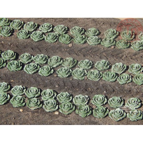 Lattuga 120 pezzi 1:45/1:50 JUWEELA 24237 JUWEELA