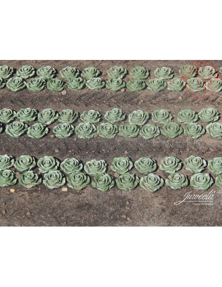 Lattuga 120 pezzi 1:45/1:50 JUWEELA 24237 JUWEELA