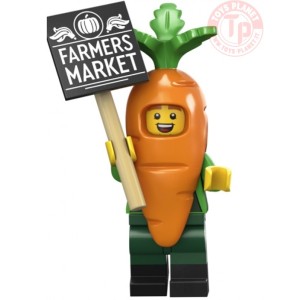 RAGAZZO IN COSTUME DA CAROTA-SERIE 24 MINIFIGURE 71037-A MINIFIGURES