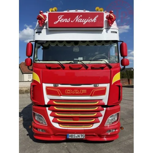 DAF XF SUPER SPACE CAB MY2017 MICHAEL / NAUJOK WSI 01-4395 WSI MODELS