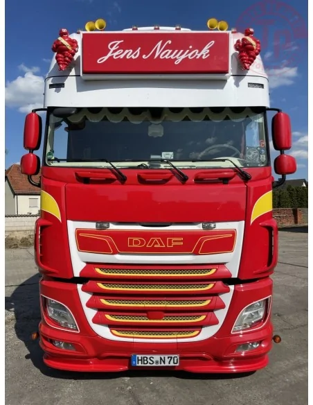 DAF XF SUPER SPACE CAB MY2017 MICHAEL / NAUJOK WSI 01-4395 WSI MODELS