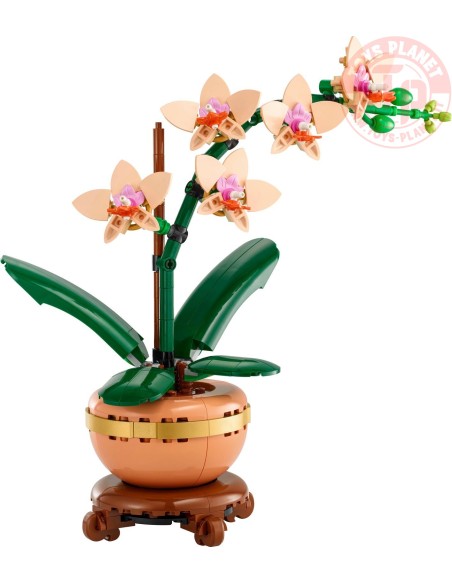 Mini-orchidea LEGO BOTANICAL 10343 LEGO
