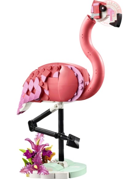 Animali selvatici: fenicottero rosa LEGO CREATOR 31170 LEGO