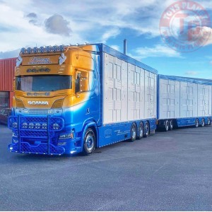 Scania Next Gen S-series Highline Swedish livestock - Friberg TEKNO 85934 TEKNO