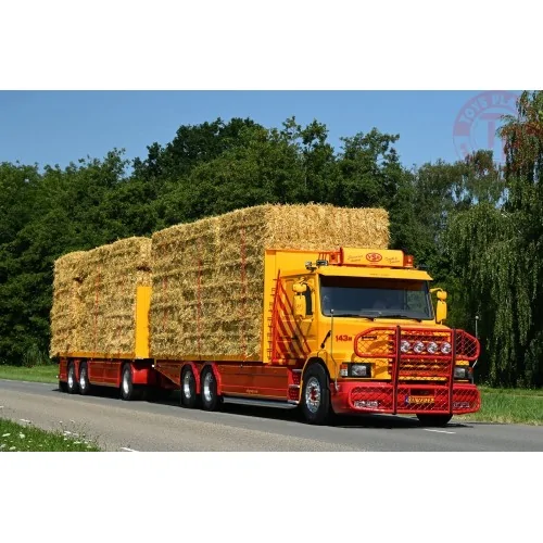 Scania Serie 3 Torpedo Combi Trasporto Fieno VSB Groep TEKNO 87381 TEKNO