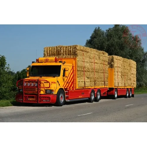 Scania Serie 3 Torpedo Combi Trasporto Fieno VSB Groep TEKNO 87381 TEKNO