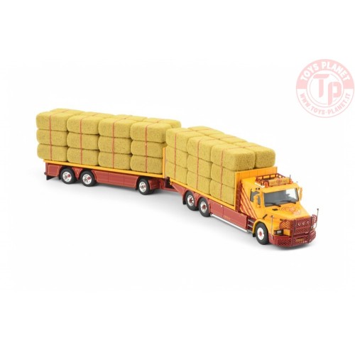 Scania Serie 3 Torpedo Combi Trasporto Fieno VSB Groep TEKNO 87381 TEKNO