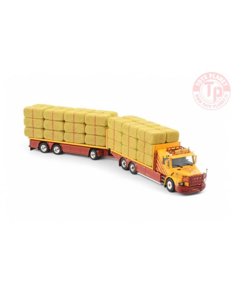 Scania Serie 3 Torpedo Combi Trasporto Fieno VSB Groep TEKNO 87381 TEKNO Scania Serie 3 Torpedo Combi Trasporto Fieno VSB Groep TEKNO 87381 TEKNO