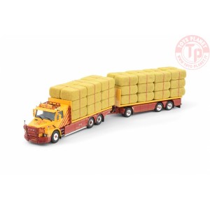 Scania Serie 3 Torpedo Combi Trasporto Fieno VSB Groep TEKNO 87381 TEKNO