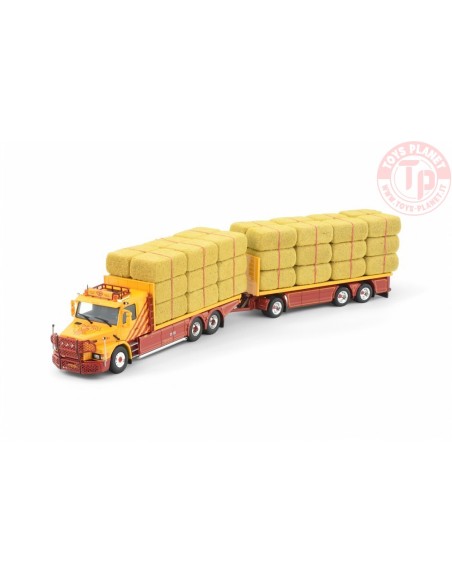 Scania Serie 3 Torpedo Combi Trasporto Fieno VSB Groep TEKNO 87381 TEKNO