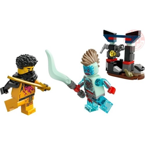 BATTAGLIA DI ARIN VS. DRAGONIANO LEGO NINJAGO 30700 LEGO