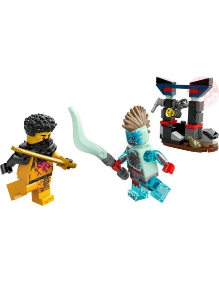 BATTAGLIA DI ARIN VS. DRAGONIANO LEGO NINJAGO 30700 LEGO