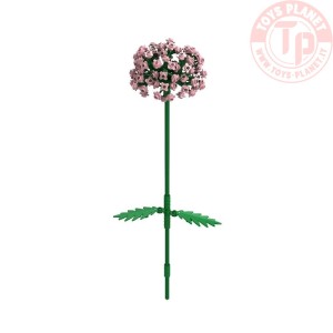 Allium Rosa - 153 pz. BRIXIES 222.117 BRIXIES