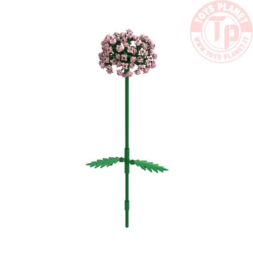 Allium Rosa - 153 pz. BRIXIES 222.117 BRIXIES