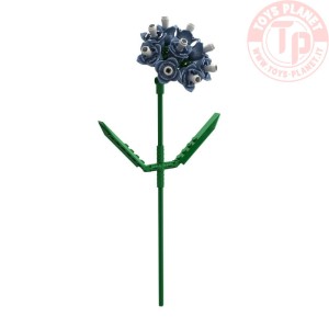 Strandflieder Blau - 52 pz. BRIXIES 222.147 BRIXIES