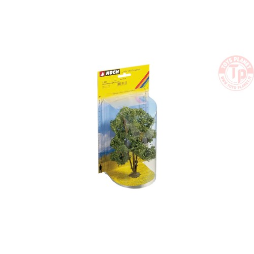 Acacia 15 cm NOCH 21660 NOCH