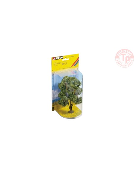 Acacia 15 cm NOCH 21660 NOCH