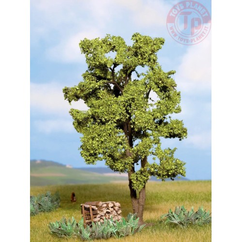 Acacia 15 cm NOCH 21660 NOCH