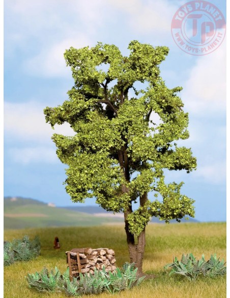 Acacia 15 cm NOCH 21660 NOCH