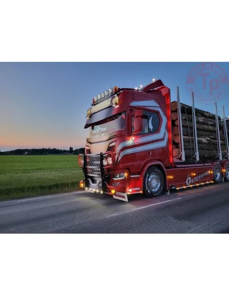 Scania Next Gen serie R Highline per il trasporto di legname Gustafsssons TEKNO 85984 TEKNO Scania Next Gen serie R Highline per il trasporto di legname Gustafsssons TEKNO 85984 TEKNO