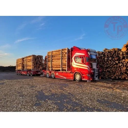 Scania Next Gen serie R Highline per il trasporto di legname Gustafsssons TEKNO 85984 TEKNO